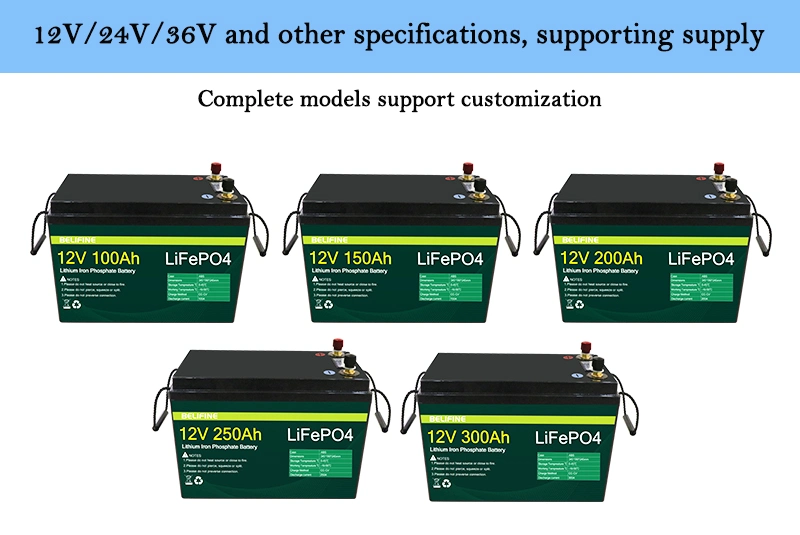 LiFePO4 Lithium Iron Phosphate Battery Pack 12V 100ah with BMS for Solar System RV Electric Car Scooter Motorcycle Boat