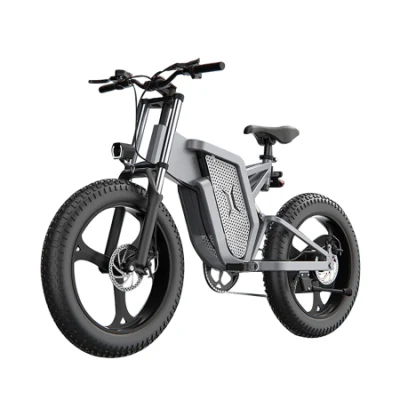 40-120km Ebike Factory Price 1000W 20 Inch Fat Tyre Hidden Battery Electric Bike