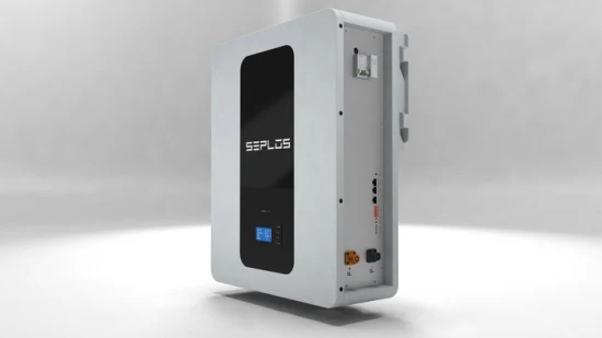 Seplos ODM OEM 48V 100ah Un38.3 MSDS LiFePO4 Lithium Ion Batteries Energy Storage Battery for Solar Systems